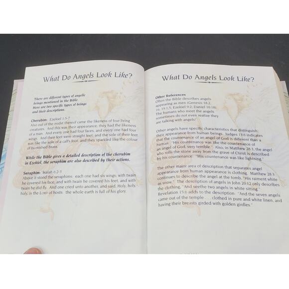 The Angel Bible (King James Version) - Hardcover, PRE-OWNED - Picture 8 of 10